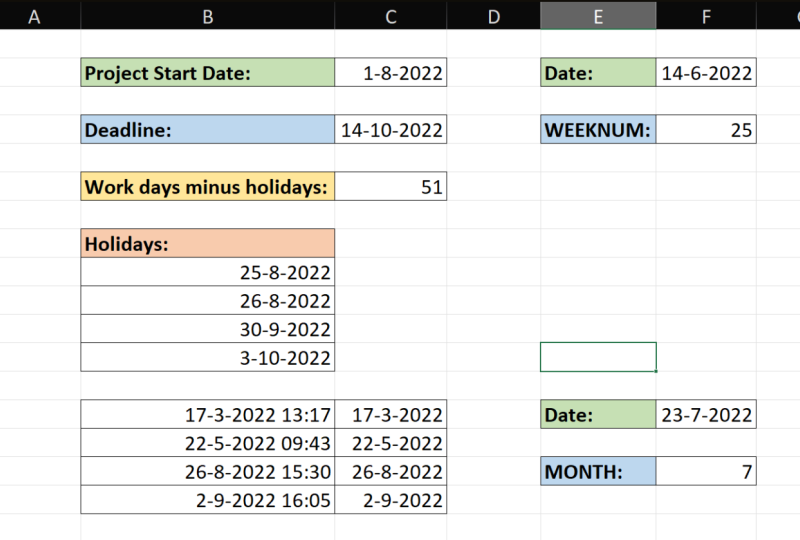 Excel Dates & Times Project