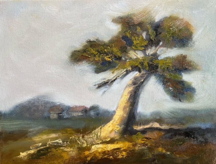 My smoky landscape