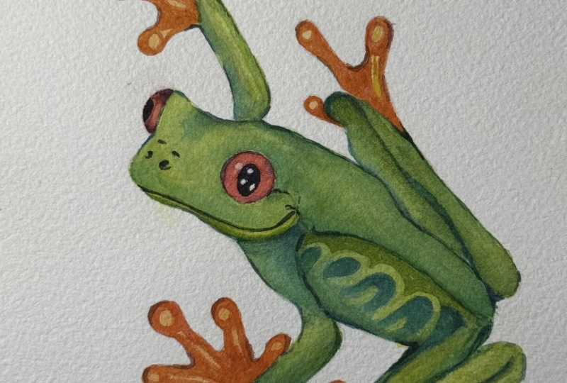 Tree Frog