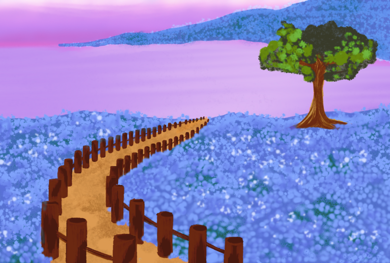 Sea of blue flowers