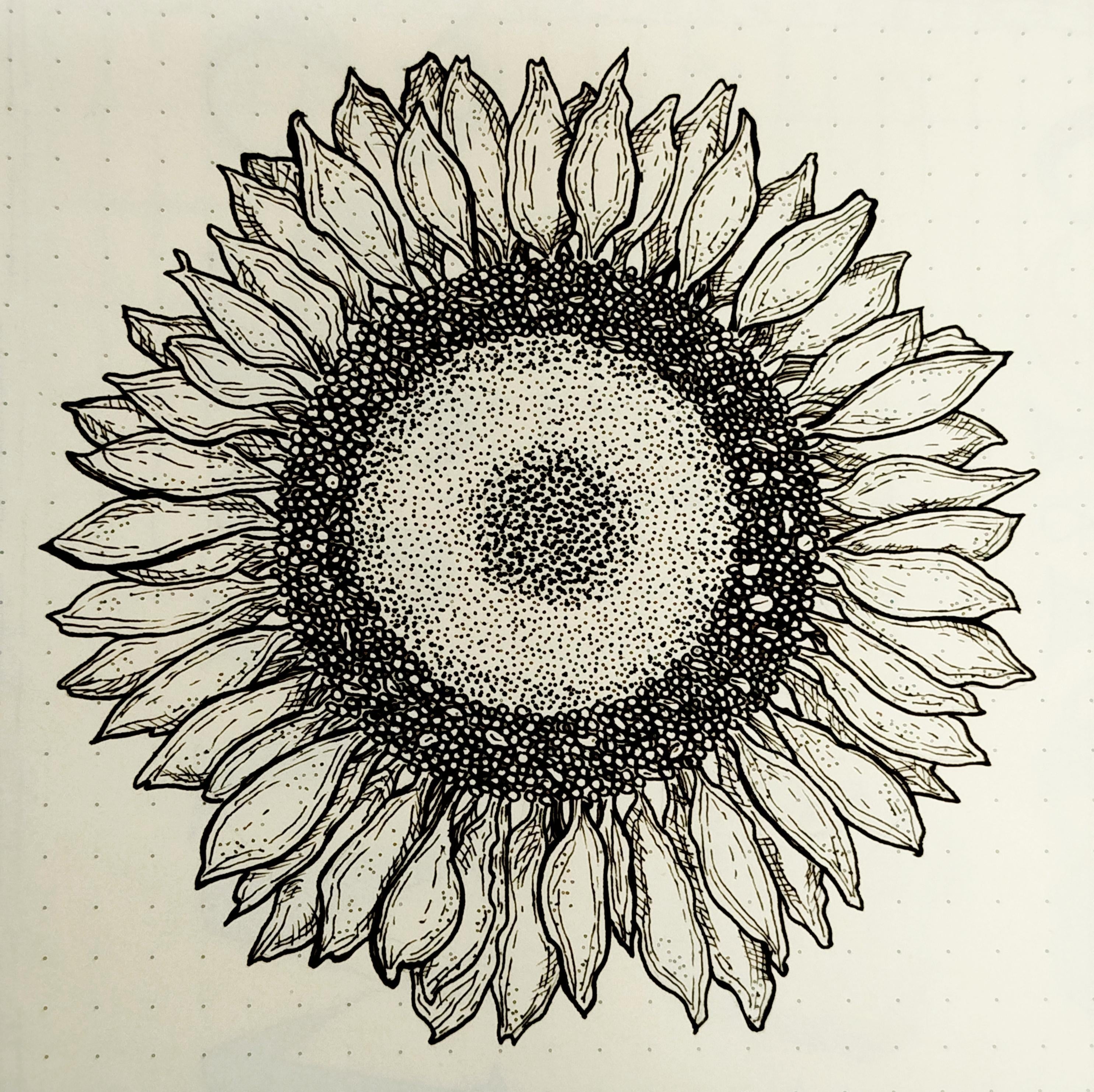 more-projects-from-class-img