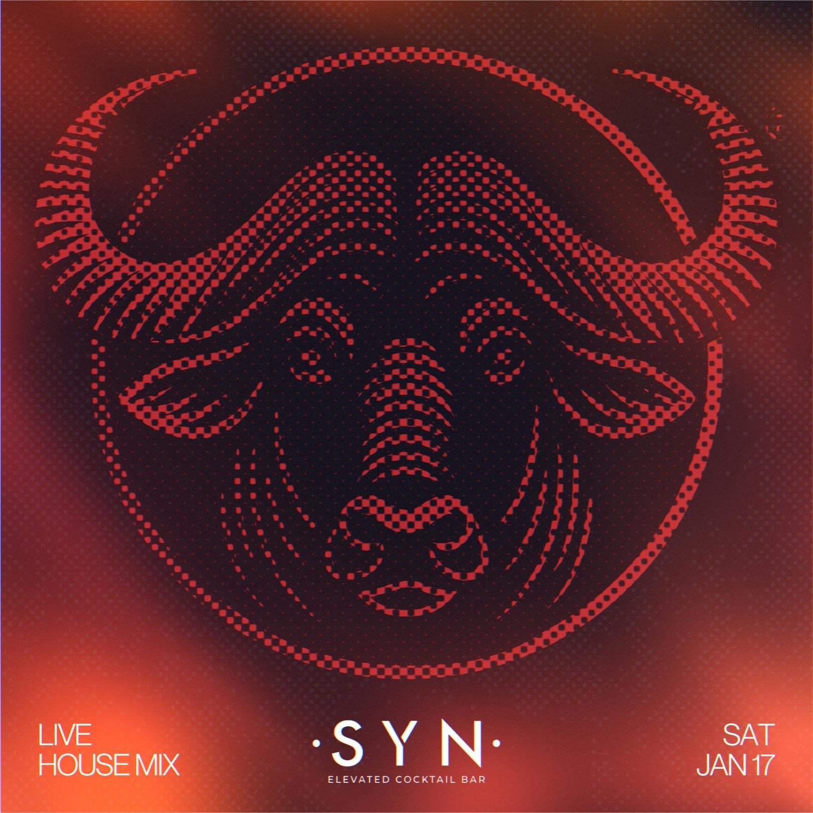 Live House Mix | Syn Cocktail Bar - student project