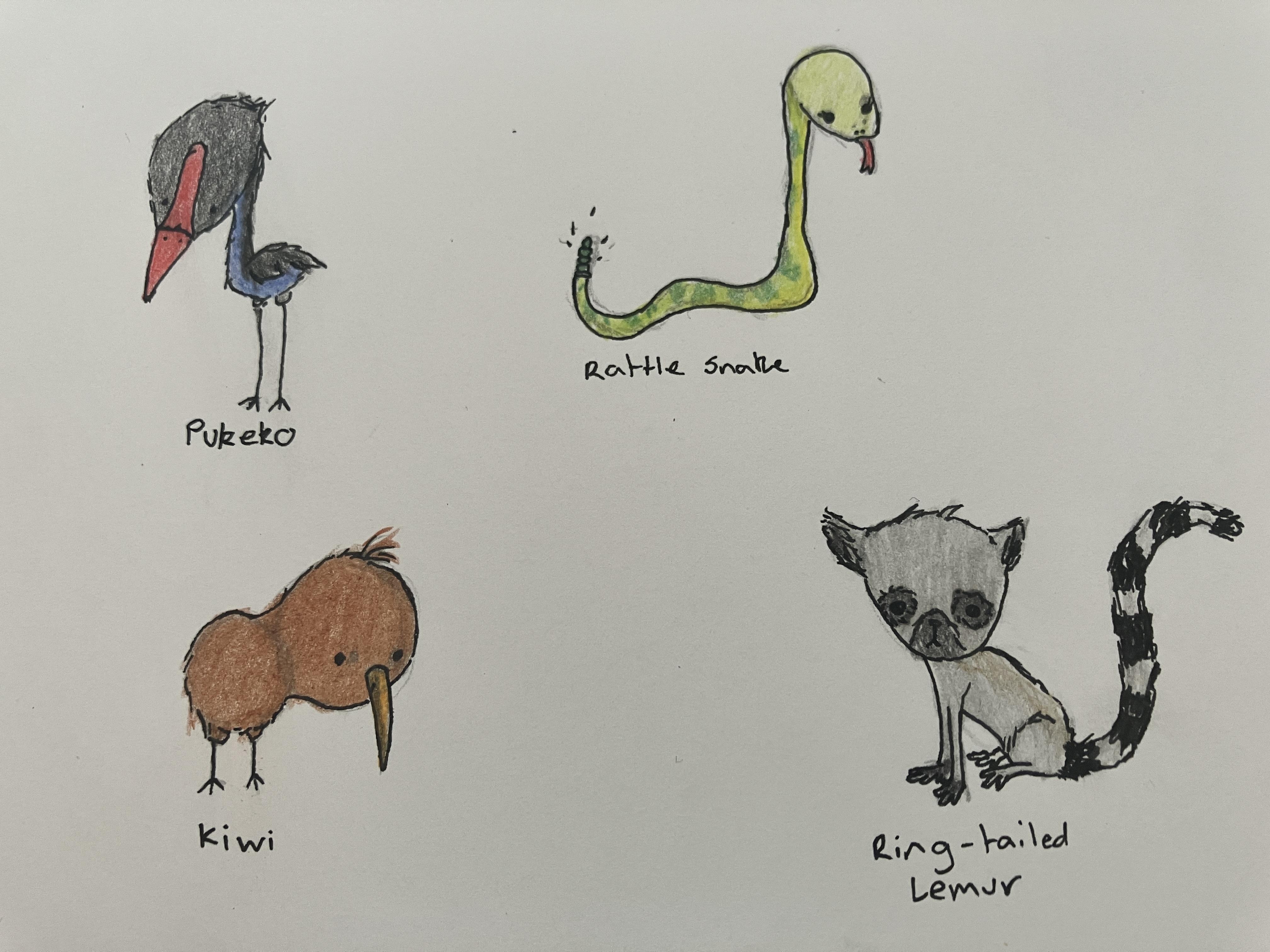 more-projects-from-class-img