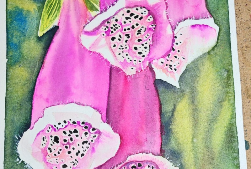 Foxgloves