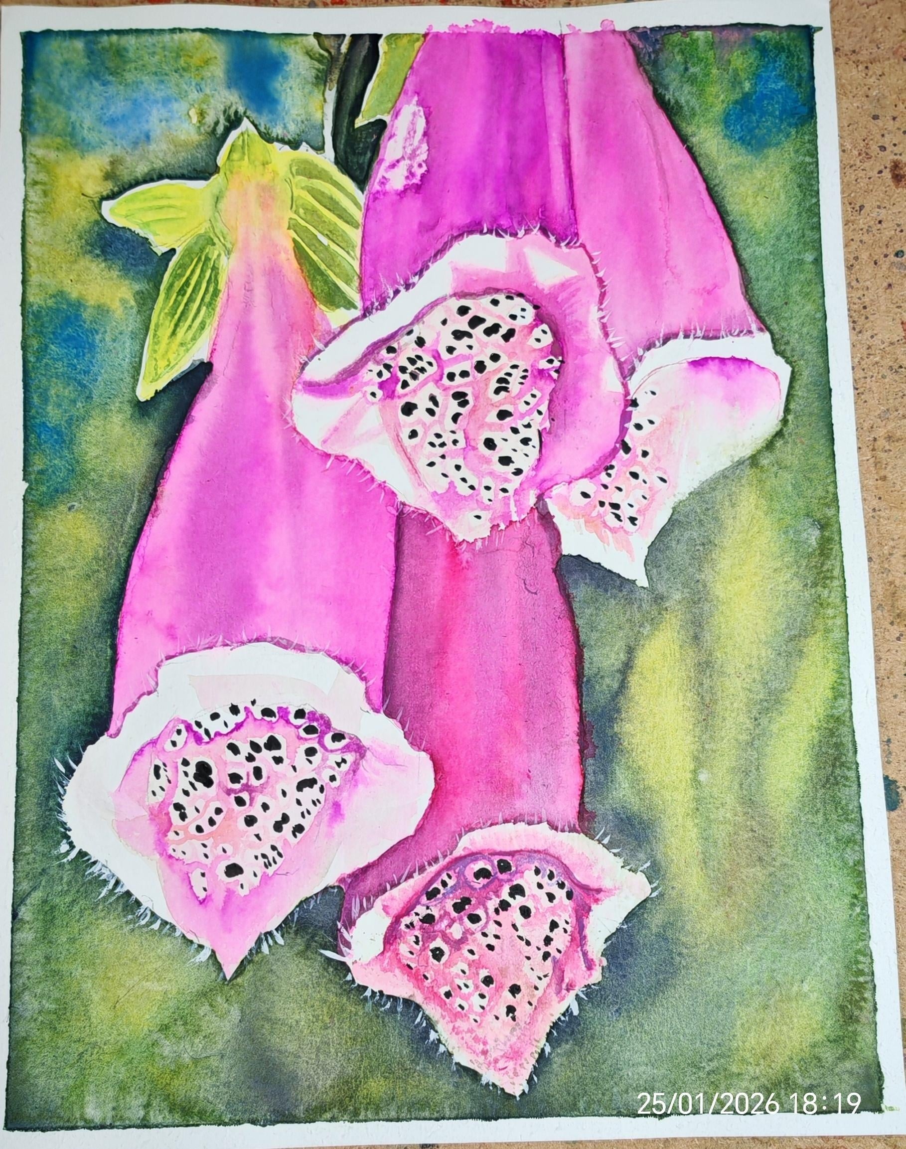 more-projects-from-class-img