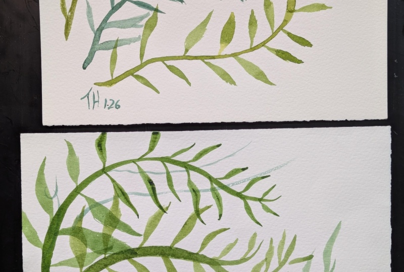 Vines and leaf shapes in watercolor