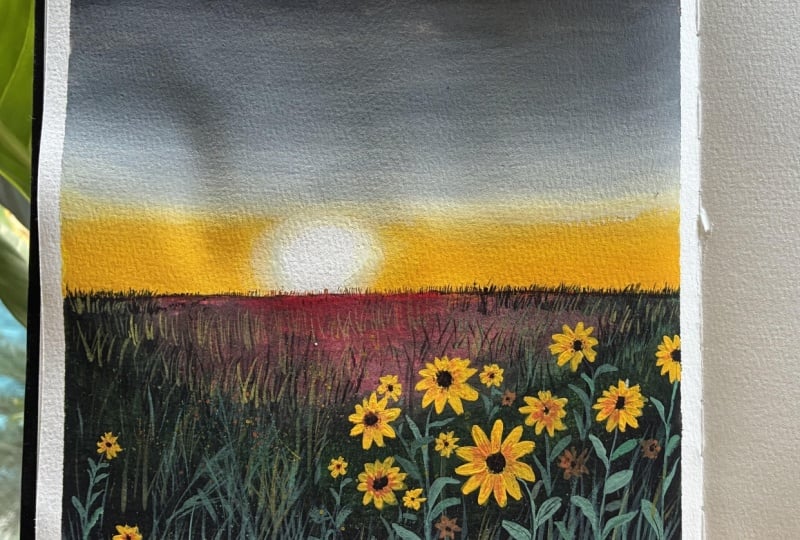 Flower fields