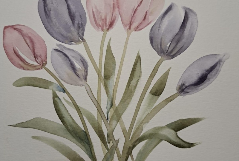 Practicando texturas en tulipanes