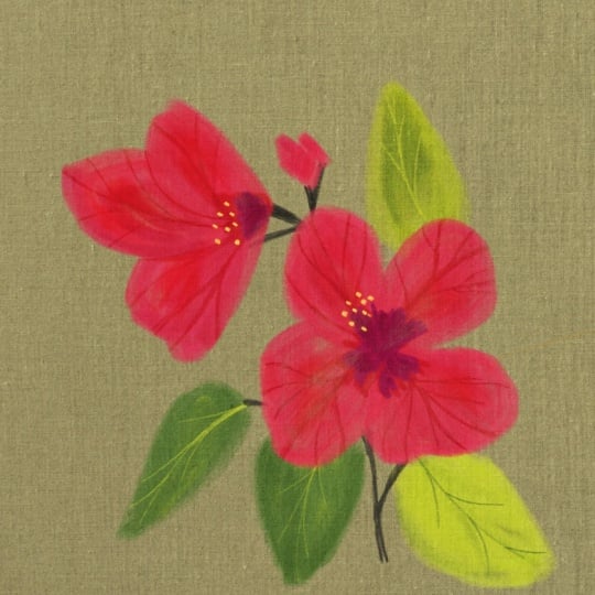 Wild Flower Pinterest Reference
