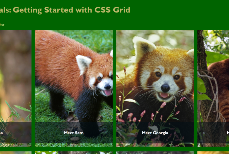 Panda Grid