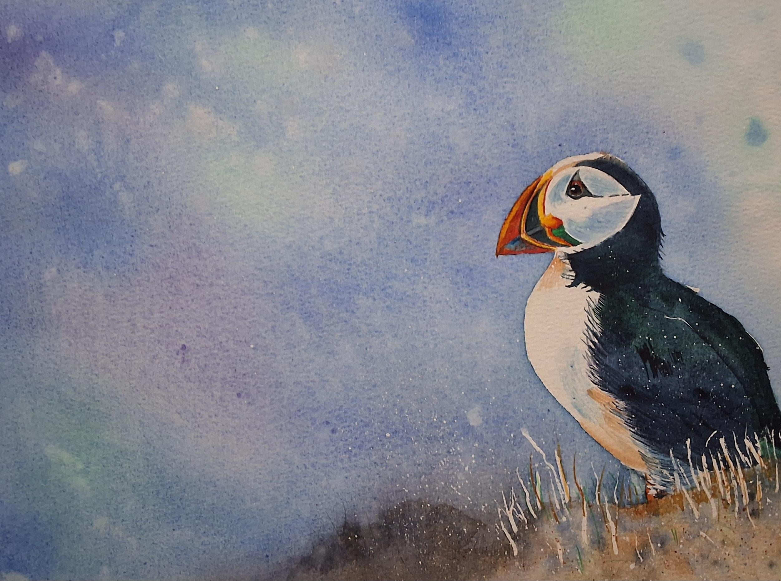 Expressive  puffin - student project