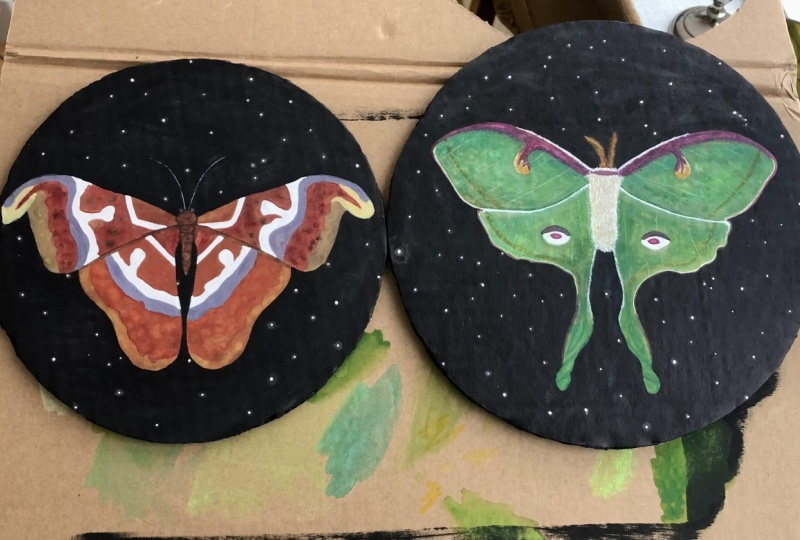 Painted Moths