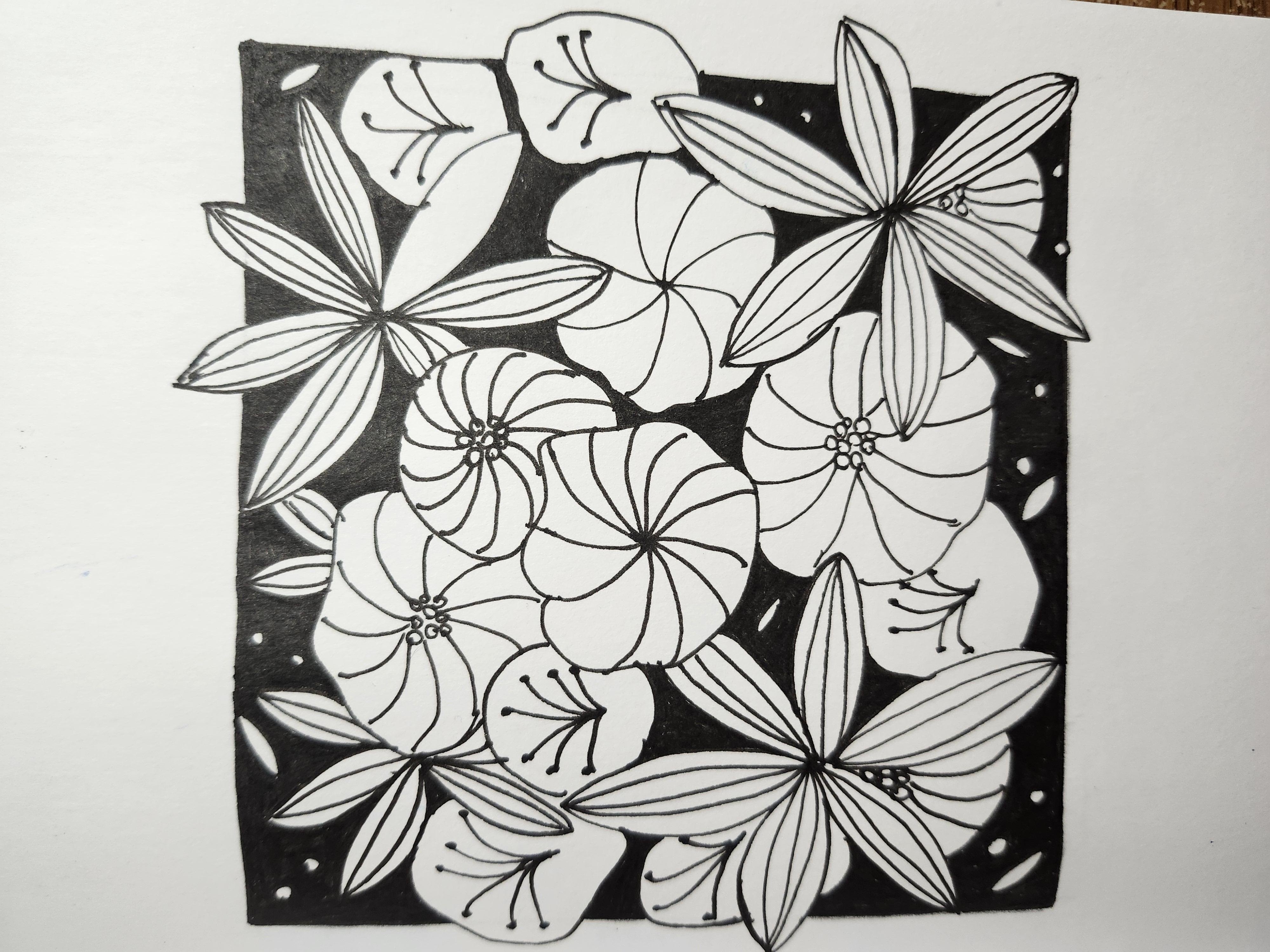more-projects-from-class-img