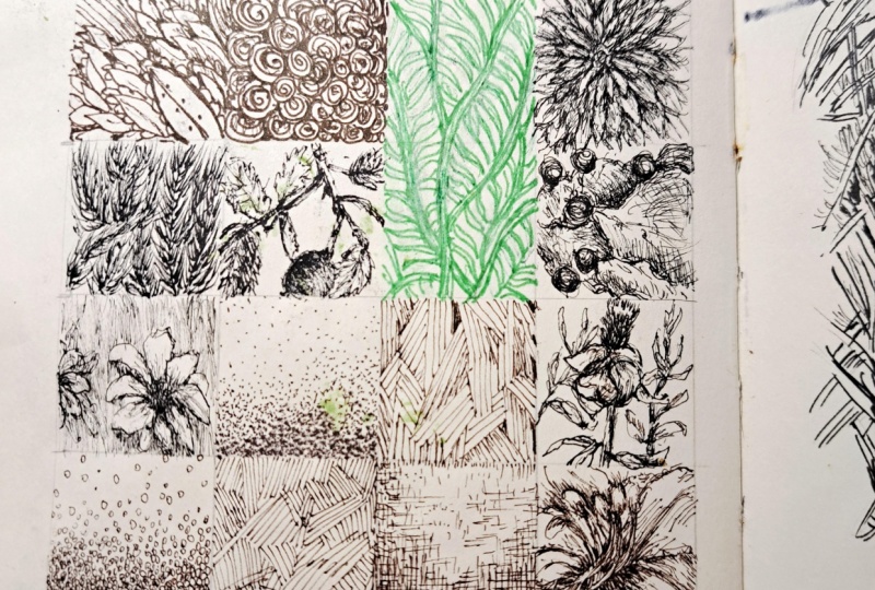 Shapes