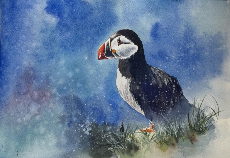 Expressive Puffin