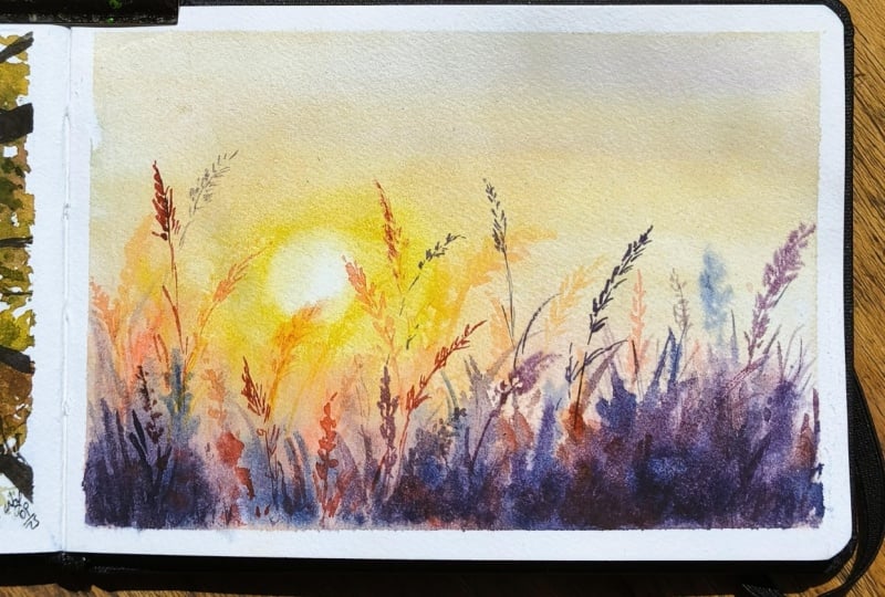 Puesta de sol en el campo