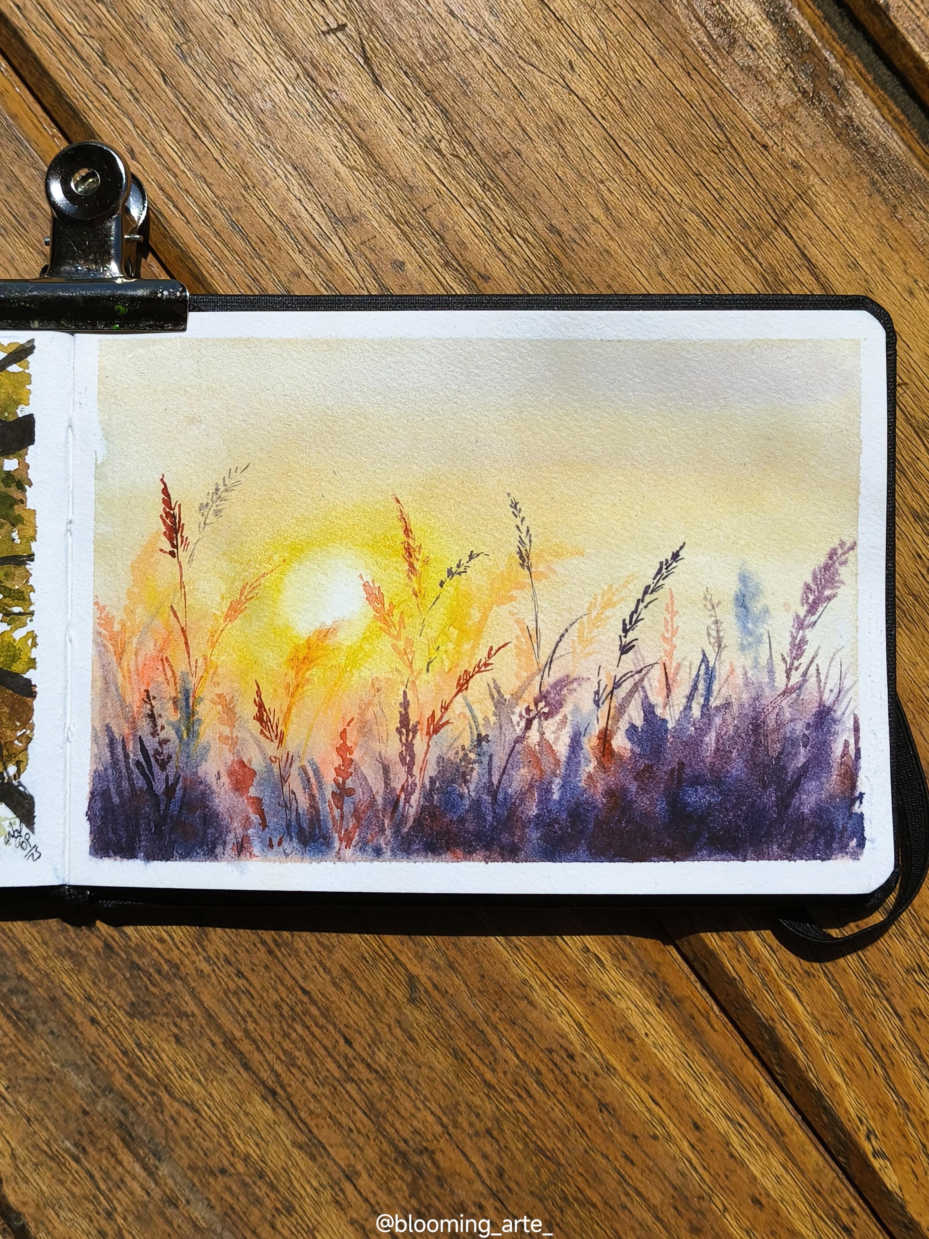 Puesta de sol en el campo