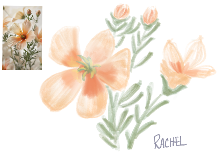 Wildflower Loose Sketch