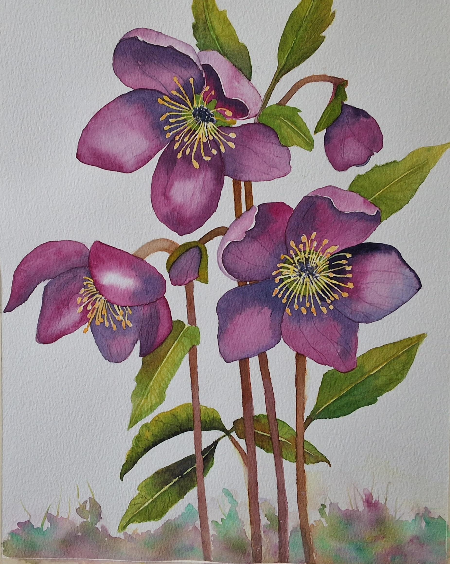 Watercolor floral - student project