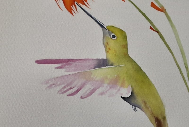Humming bird