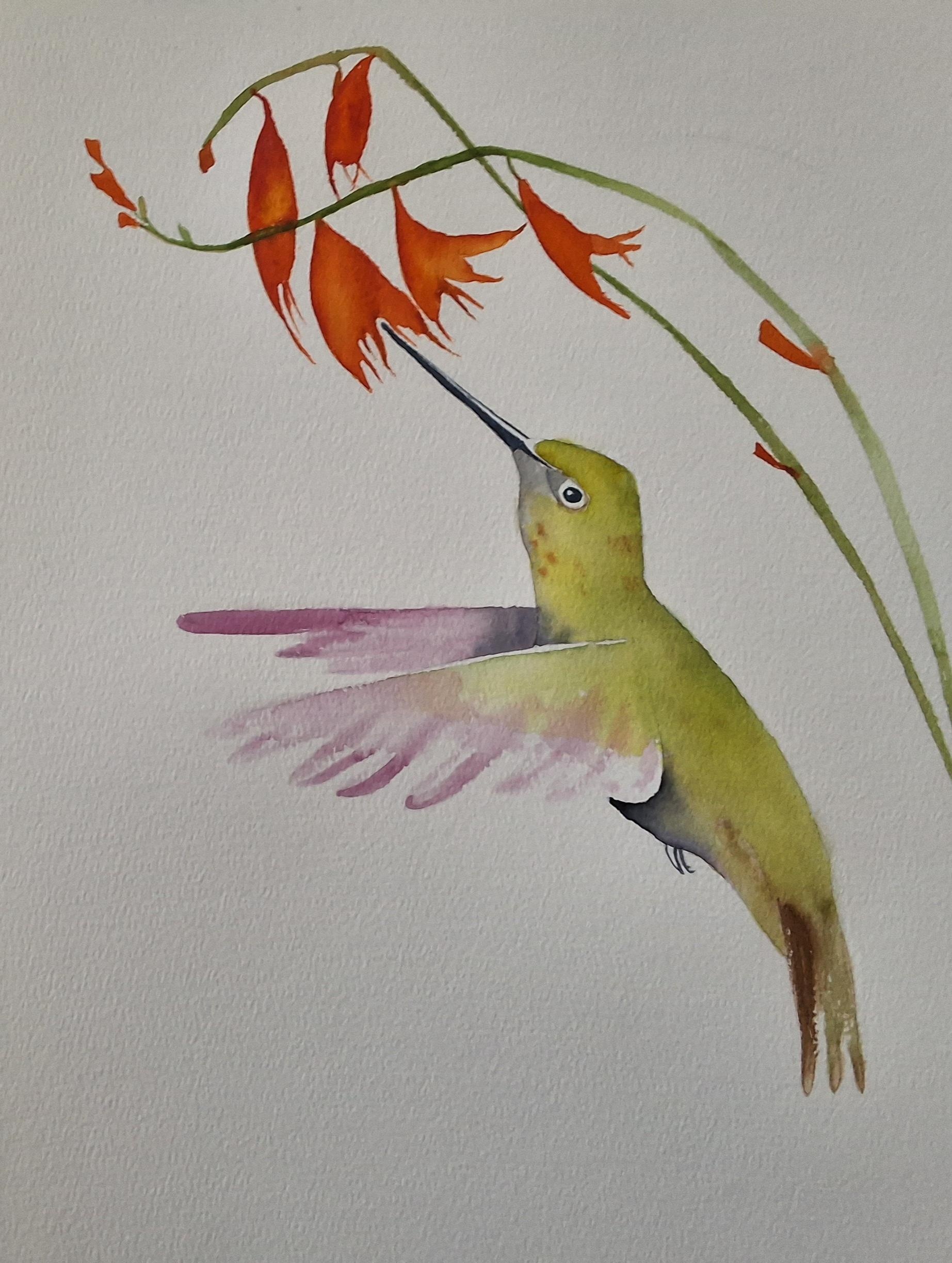 Humming bird - student project