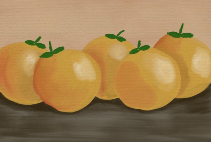 Oil painted oranges