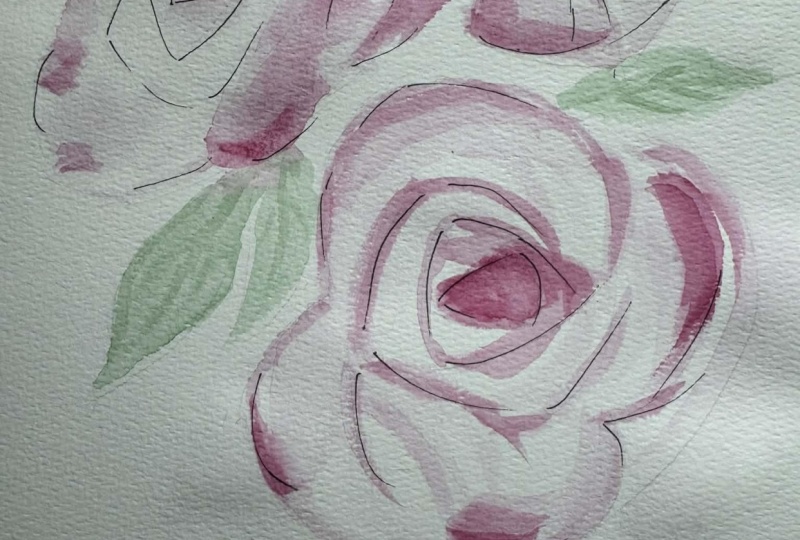 blooming with watercolors-peony roses made simple
