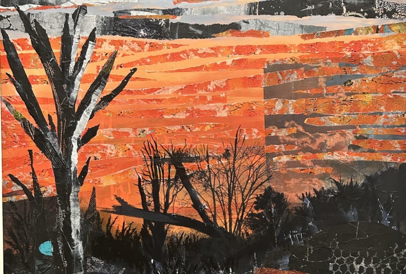 Bushfire