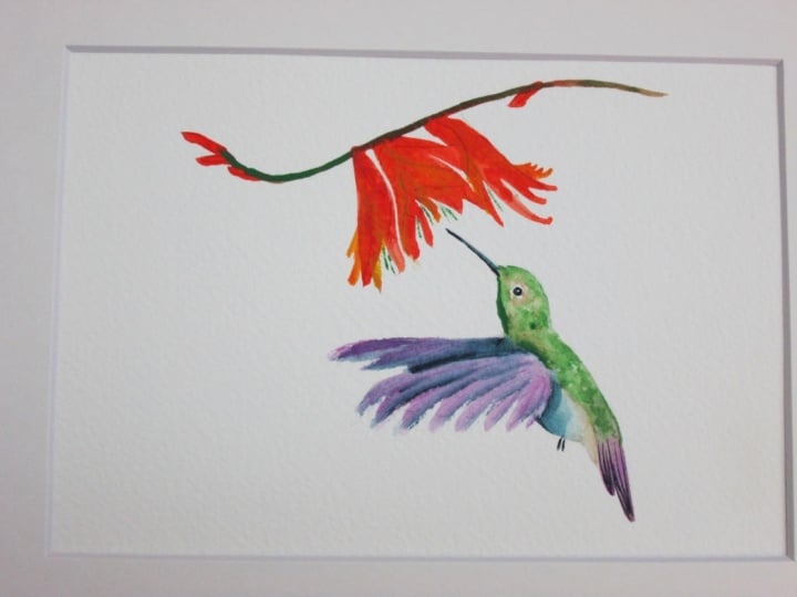 Watercolor Hummingbird with Nadine
