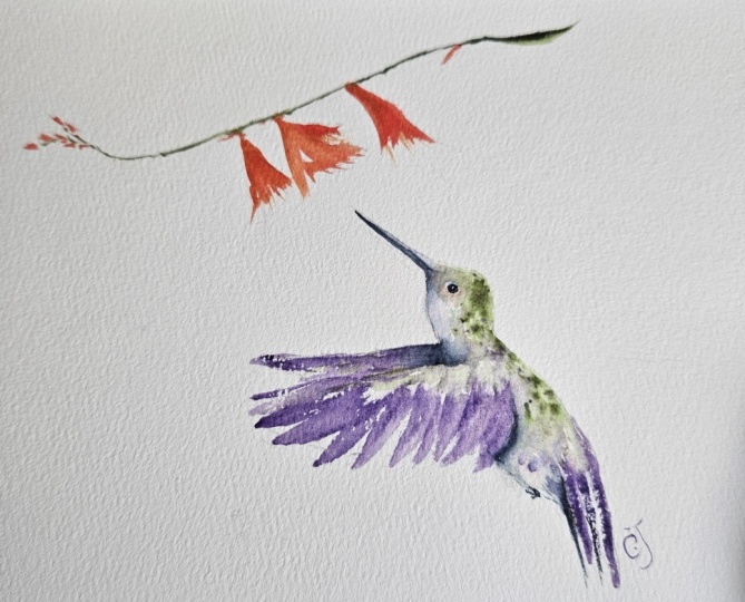 Hummingbird 013126