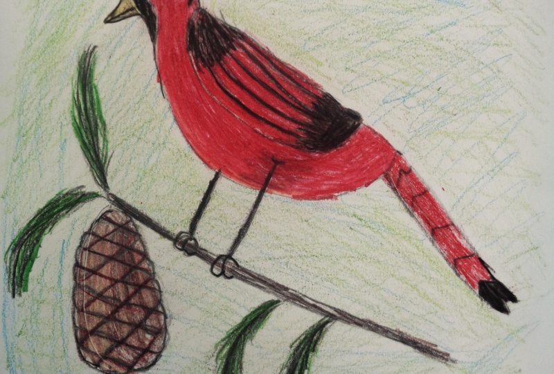 Cardinal