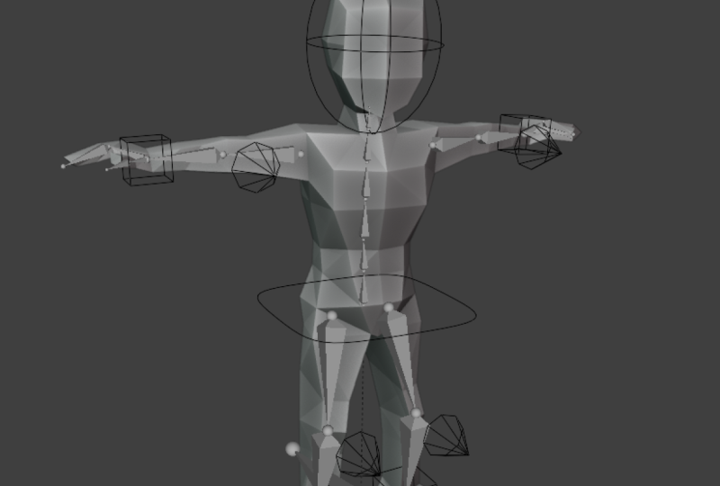Rigged Character