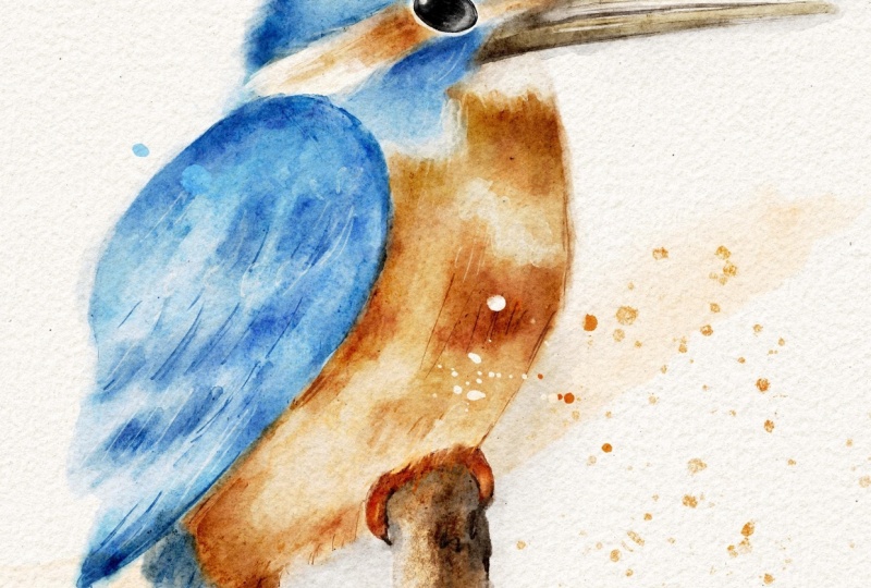 Kingfisher watercolour