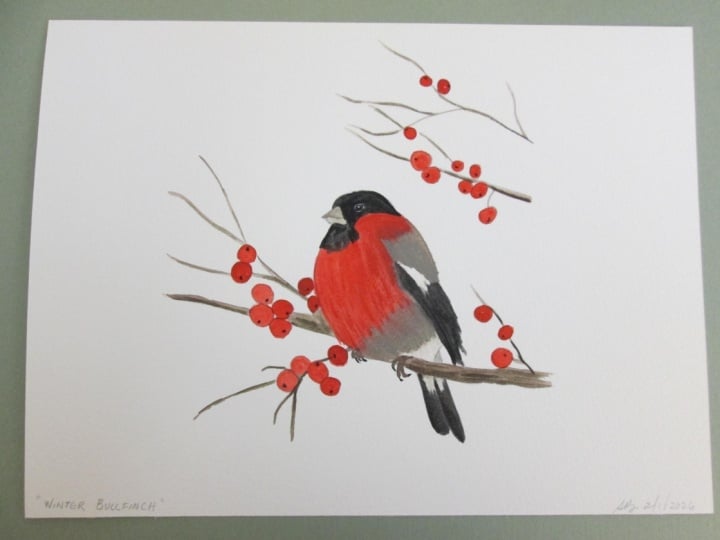 Winter Bullfinch