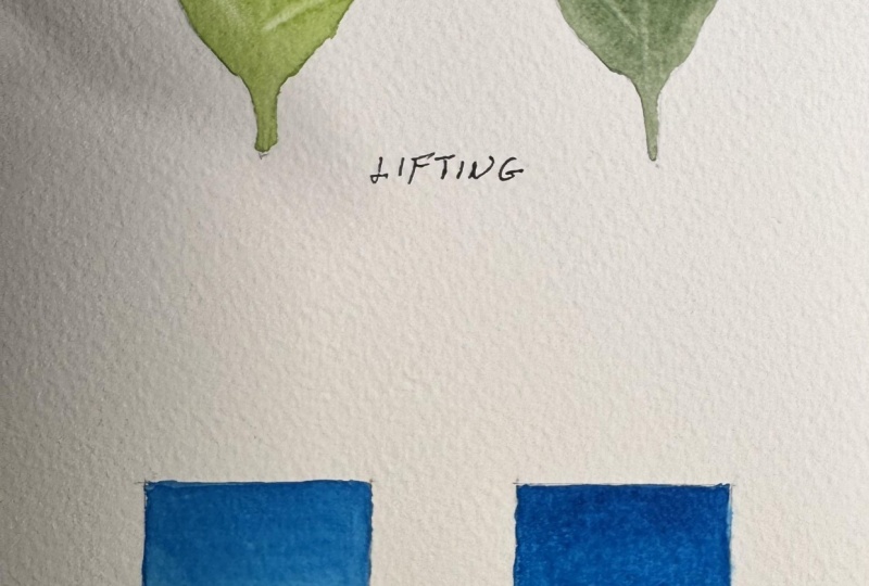 Watercolor techniques
