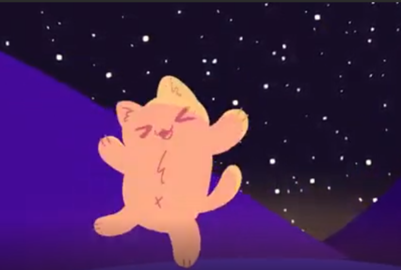 A little kitten