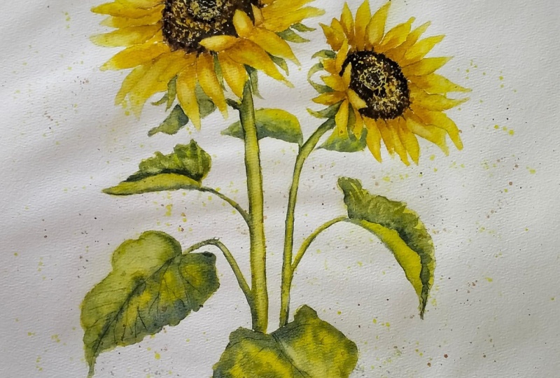 Sunflowers