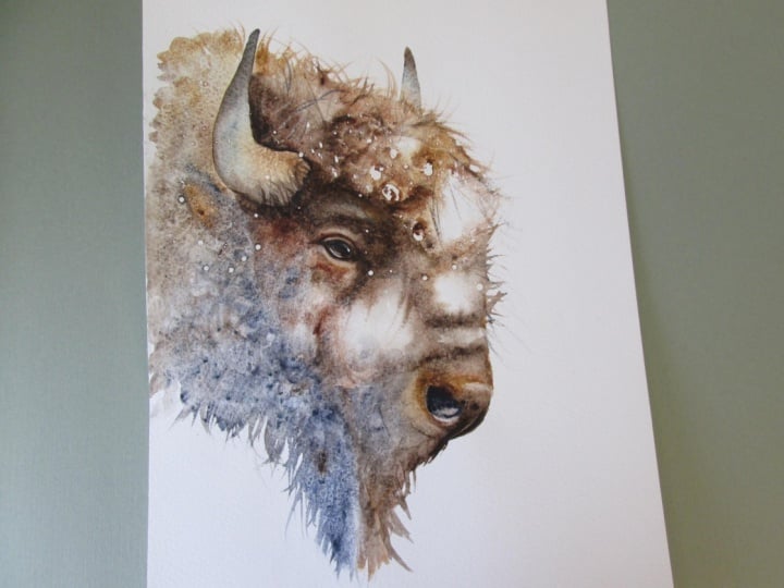Snowy Bison