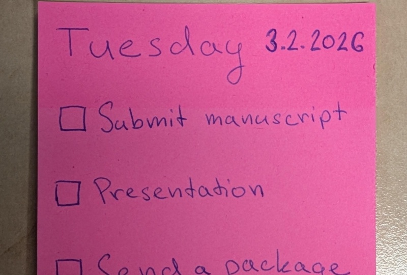 Daily plan Tuesday
