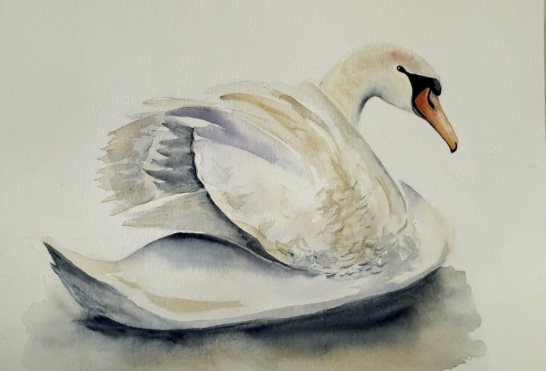 Swan song