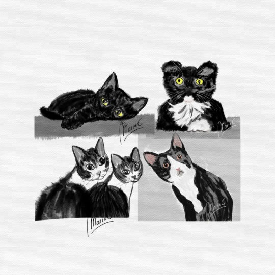 Inky cats