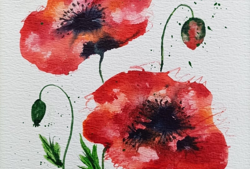 Mohnblumen