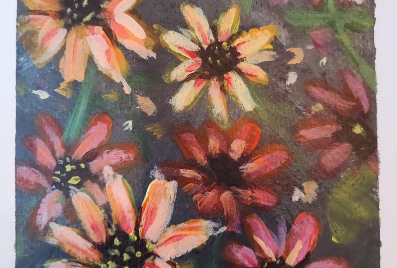 Wildflowers in Bloom