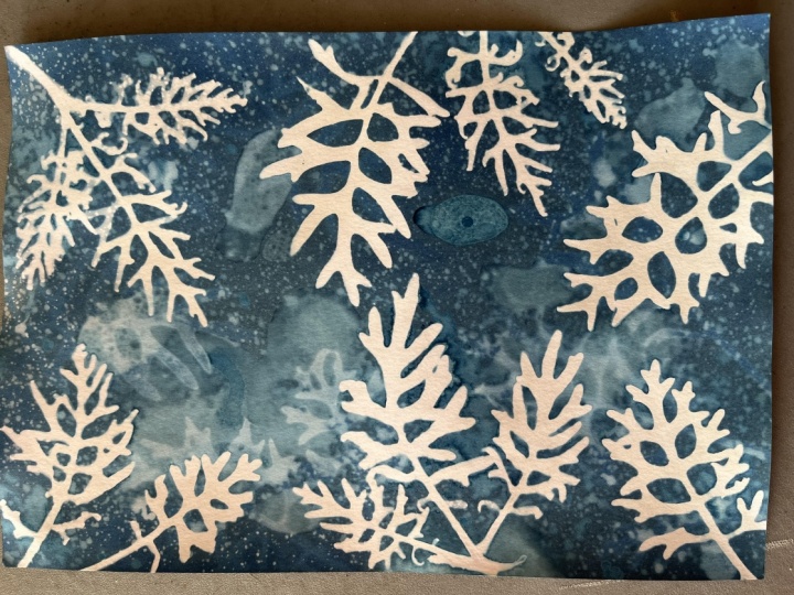 Wet Cyanotype play