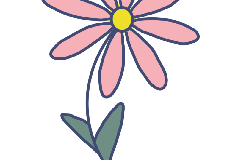 My daisy