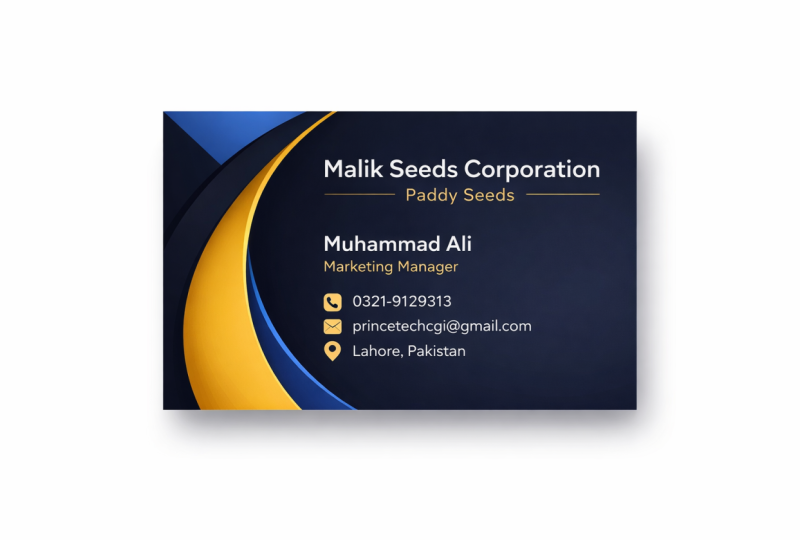 PRINX LEO 👑♌ Business Card ( Corel Draw )