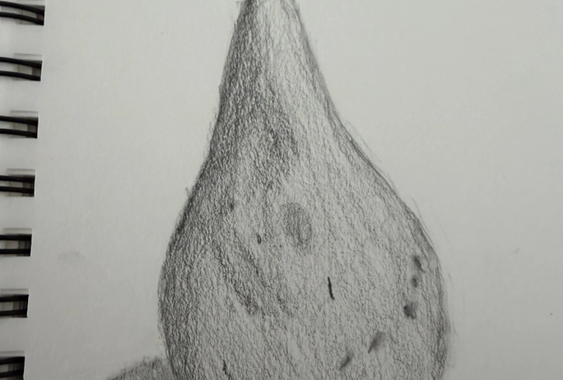 final project