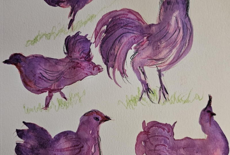 Funky chickens