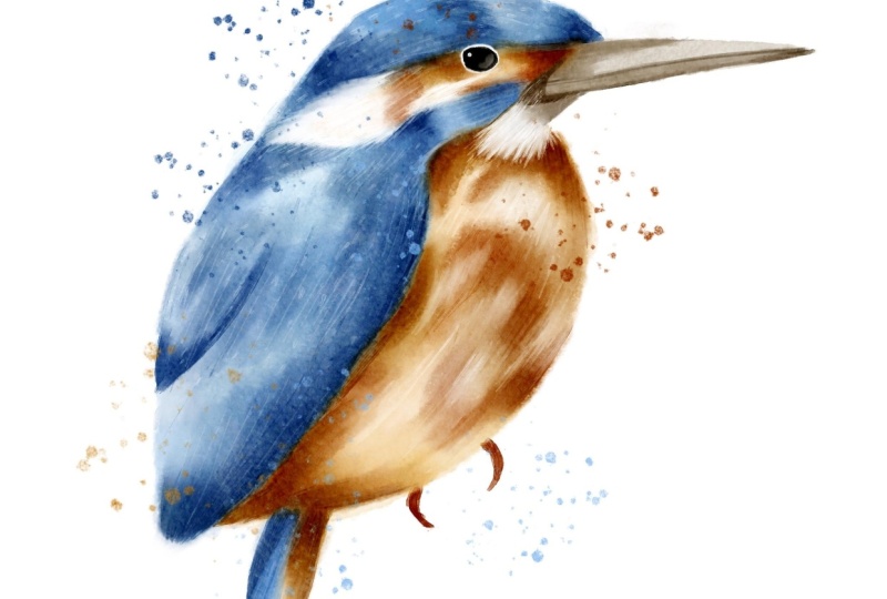 My Watercolour Kingfisher