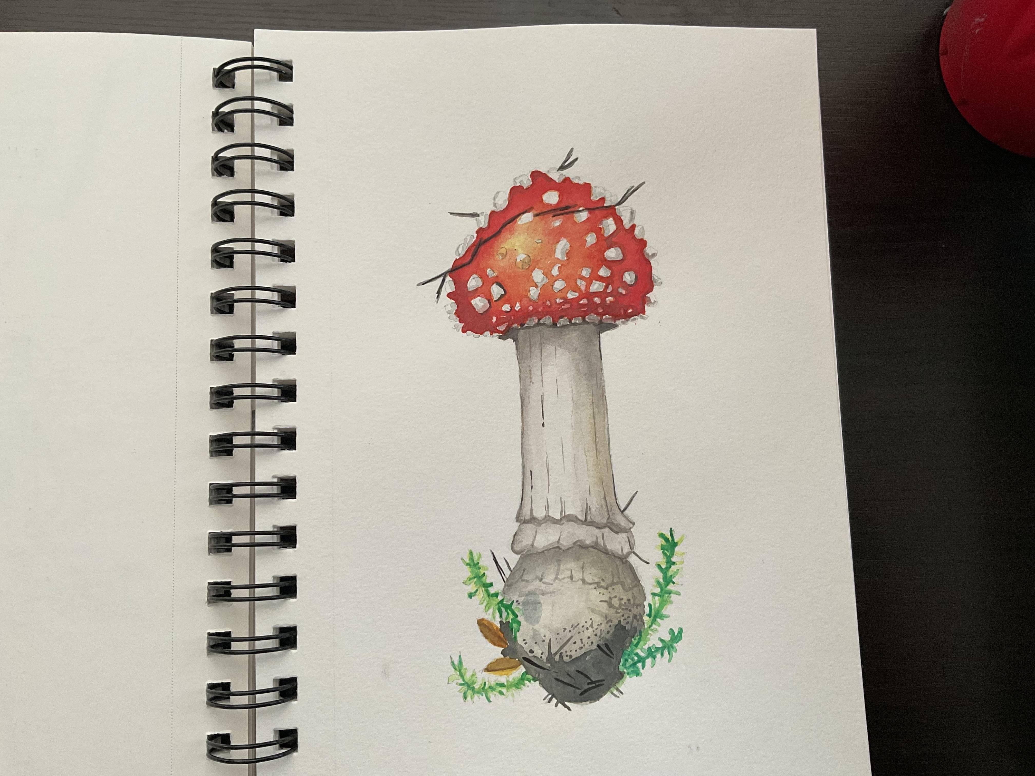 more-projects-from-class-img